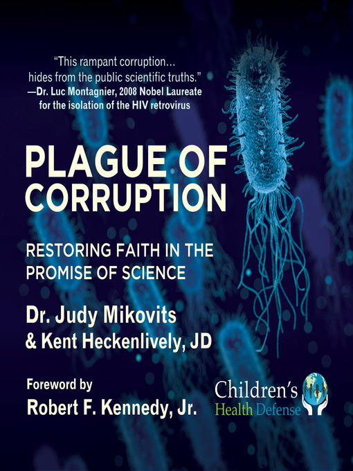 Cover image for Plague of Corruption